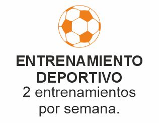 pelota